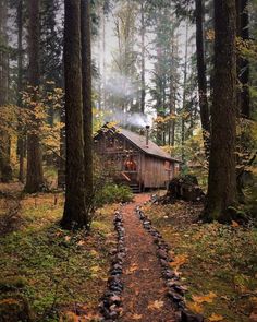 Apollo's Cabin, Small Cabin In The Woods, Woodland Cabin, A Cabin In The Woods, Cabin Aesthetic, Forest Cottage, Camping Nature, Cottage In The Woods