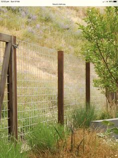 the fence is made of wood and wire, along with tall grass on the ground