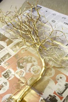 a tree that is sitting on top of a table next to some pictures and papers