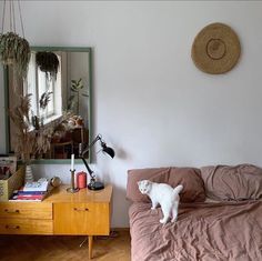 a white cat standing on top of a bed next to a wooden dresser and mirror