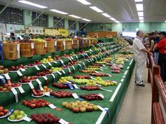 people are shopping for fruits and vegetables at an indoor market