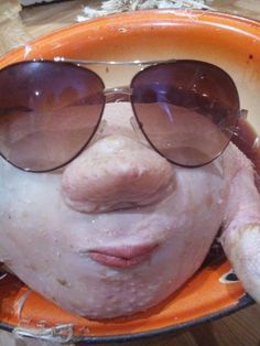 a close up of a chicken with sunglasses on it's face in an orange bowl