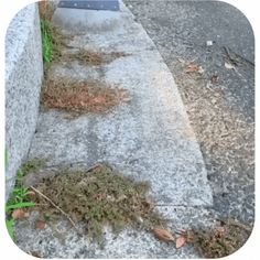 the sidewalk is covered with grass and dirt