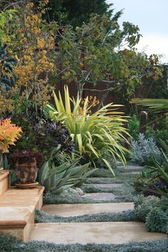 an outdoor garden with plants and steps