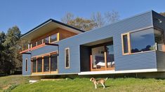 a dog standing in front of a blue house on the side of a hill next to trees