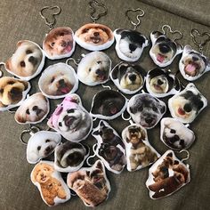 a bunch of dogs that are sitting on a couch with some key chains in front of them