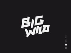 the words big wild written in white on a black background