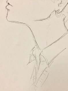 a pencil drawing of a man's profile