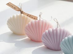 three seashells with tags attached to them sitting on a white counter top,