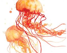 watercolor painting of jellyfish on white background with orange and red ink splots