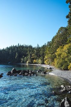 the water is crystal blue and there are trees in the background