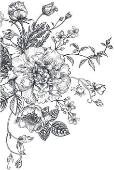 a bouquet of flowers with leaves and buds on a white background royalty illustration stock illustration