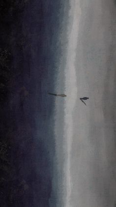 two birds flying over the ocean on a cloudy day