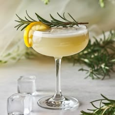 a drink with lemon and rosemary garnish on the rim