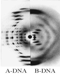 the cover art for adna b - dna's album, which features an abstract