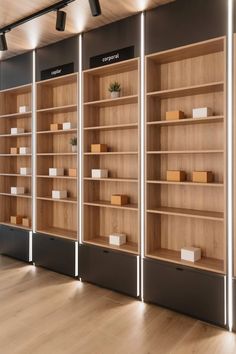 several wooden shelves with plants and boxes on them in a room that has hard wood flooring