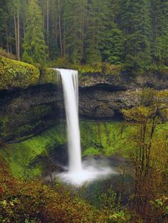 a waterfall in the middle of a forest with green grass and trees on both sides