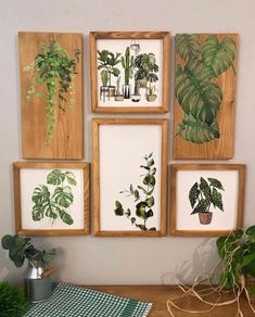 four framed plants are hanging on the wall next to a potted plant and a green checkered table cloth