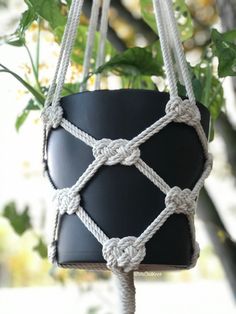 a potted plant hanging from a rope