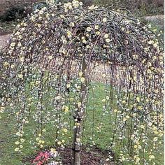 an umbrella made out of branches and flowers in a garden with lots of green grass