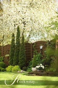 an image of a beautiful garden setting with flowers and trees in the foreground text reads rozwija