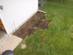 a yard with grass and dirt in it