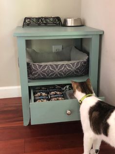 a cat standing in front of a blue cabinet with drawers on the bottom and one drawer open