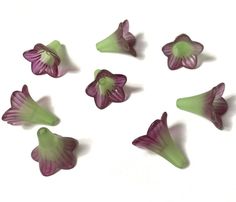 purple and green flower petals arranged in a circle on a white surface with clippings