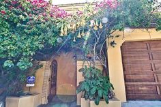 a house with lots of flowers growing on it's roof and windows above the garage door