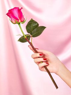 a woman's hand holding a pink rose with green leaves on it against a pink background