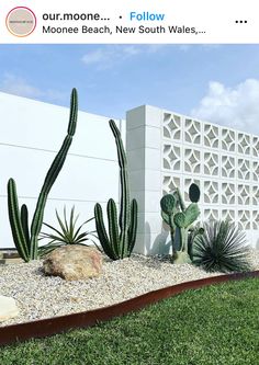 an outdoor area with cactus and rocks in the grass near a white wall that has geometric designs on it