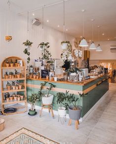 the interior of a flower shop with potted plants on display and hanging lights above