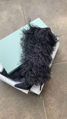 A to the knee black boot adorned with black feathers for a whimsical show stopping entrance wherever you go. Birthday Boots, Fancy Shoes, Knee Boot, Stylish Boots, Black Feathers, Fabulous Shoes, Fall 2022, Crazy Shoes, Pretty Shoes