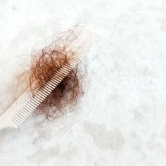 Hair Shedding – What You Should Know — PCOS Awareness Association Dove Hair Care, Hair Growth Cycle, Hair Growing Tips, Excess Hair, Hair Shedding, Dermatologist Recommended, Hair Haircut, Hair Strand