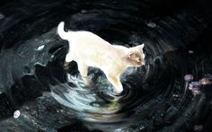 a white cat is standing in the middle of a black hole with water swirling around it