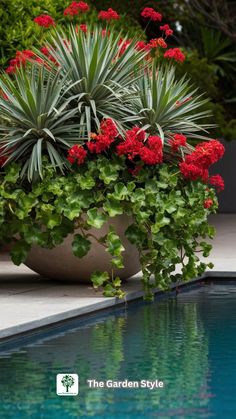 a large potted plant sitting next to a swimming pool with red flowers in it