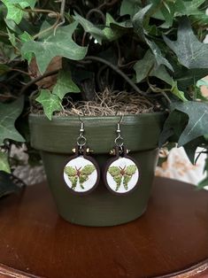 the earrings are decorated with green and white designs on them, sitting in front of a potted plant