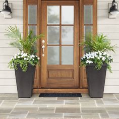 two potted plants sit on the front porch next to a wooden door with glass panes