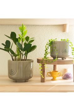 two potted plants sitting on top of a wooden shelf next to a yellow cup