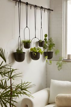 a living room with plants hanging from the wall