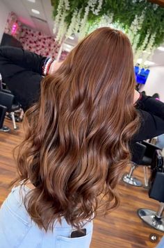 Full Caramel Hair Color, Neutral Auburn Hair, Dark Amber Brown Hair, Gingerbread Brown Hair, Light Brown Red Hair Color, Light Chocolate Brown Hair Color Caramel, Cabello Color Chocolate Claro, Reddish Light Brown Hair, Light Cherry Brown Hair