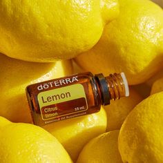 Doterra Lemon, A 4, Aromatherapy, Coco, Essential Oils, Vanilla, Lemon, Humor