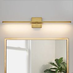 a bathroom mirror with a plant in it