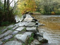 a stone path in the middle of a river