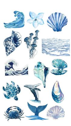 an assortment of sea animals and seashells are shown in watercolor on white paper