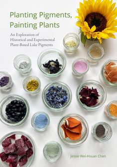 the book is titled planting pigments, painting plants