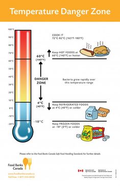 an info poster showing how temperature is different from other things in the world, including food