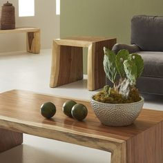 a living room with a couch, coffee table and potted plant