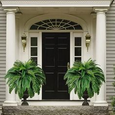 two planters on the front steps of a house with black doors and columns,