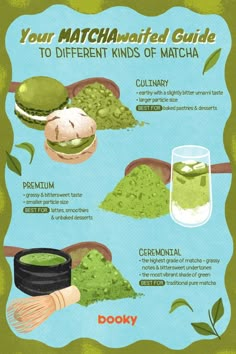 the different kinds of matcha powders are shown in this info sheet, which shows how